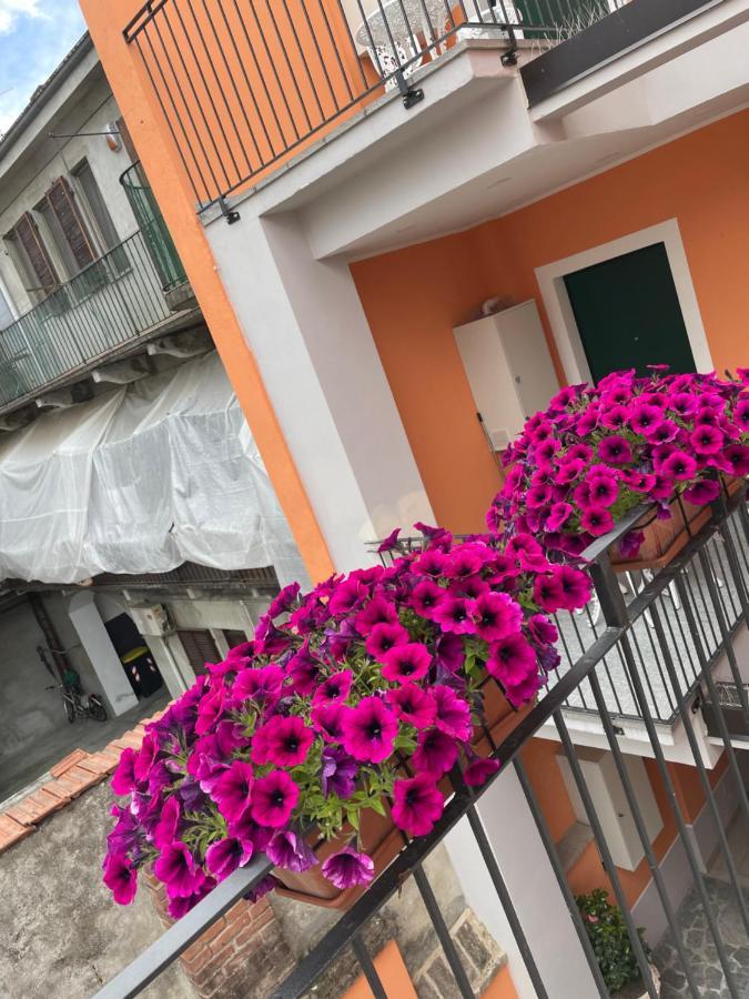 Residenza Nikol Casale Monferrato Exterior foto