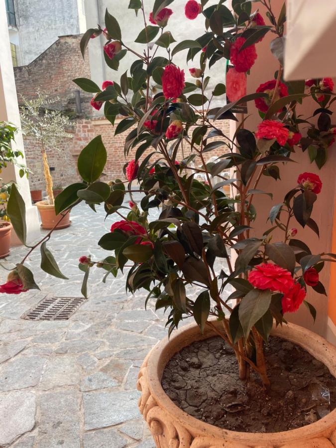Residenza Nikol Casale Monferrato Exterior foto