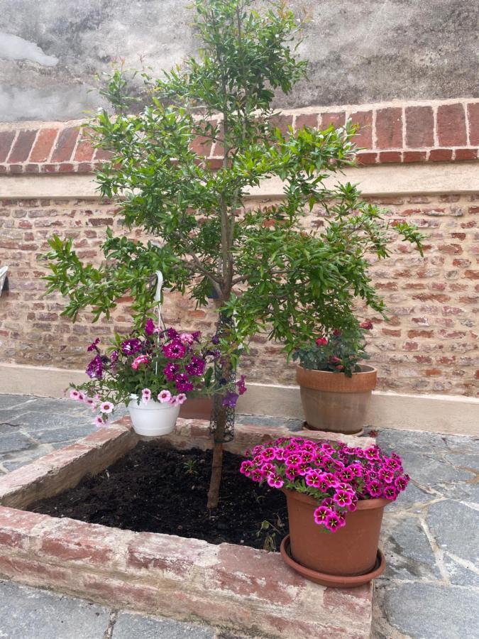 Residenza Nikol Casale Monferrato Exterior foto